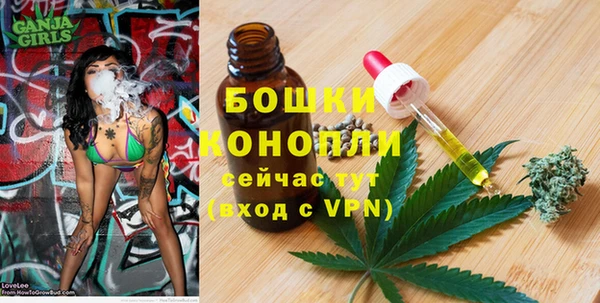 ПСИЛОЦИБИНОВЫЕ ГРИБЫ Инсар