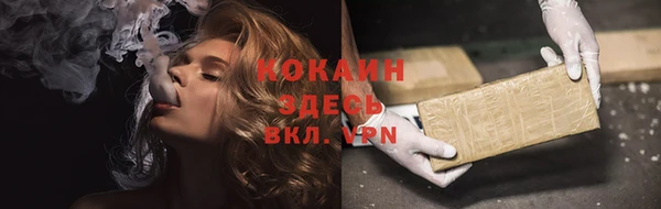 ПСИЛОЦИБИНОВЫЕ ГРИБЫ Инсар