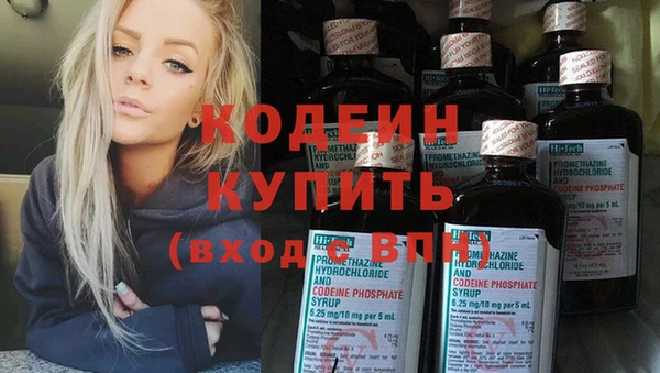 ПСИЛОЦИБИНОВЫЕ ГРИБЫ Инсар
