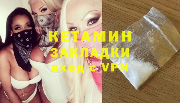 ПСИЛОЦИБИНОВЫЕ ГРИБЫ Инсар