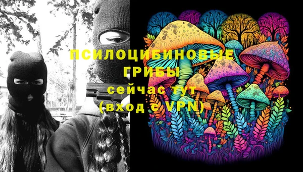 ПСИЛОЦИБИНОВЫЕ ГРИБЫ Инсар