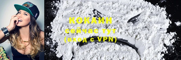 ПСИЛОЦИБИНОВЫЕ ГРИБЫ Инсар