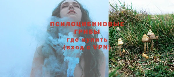 ПСИЛОЦИБИНОВЫЕ ГРИБЫ Инсар